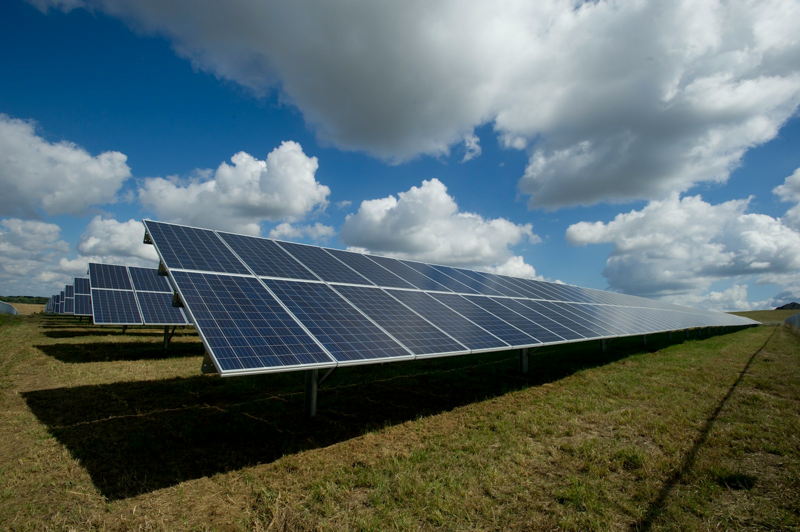 Climate Tech: Solarmodule auf einer grünen Wiese